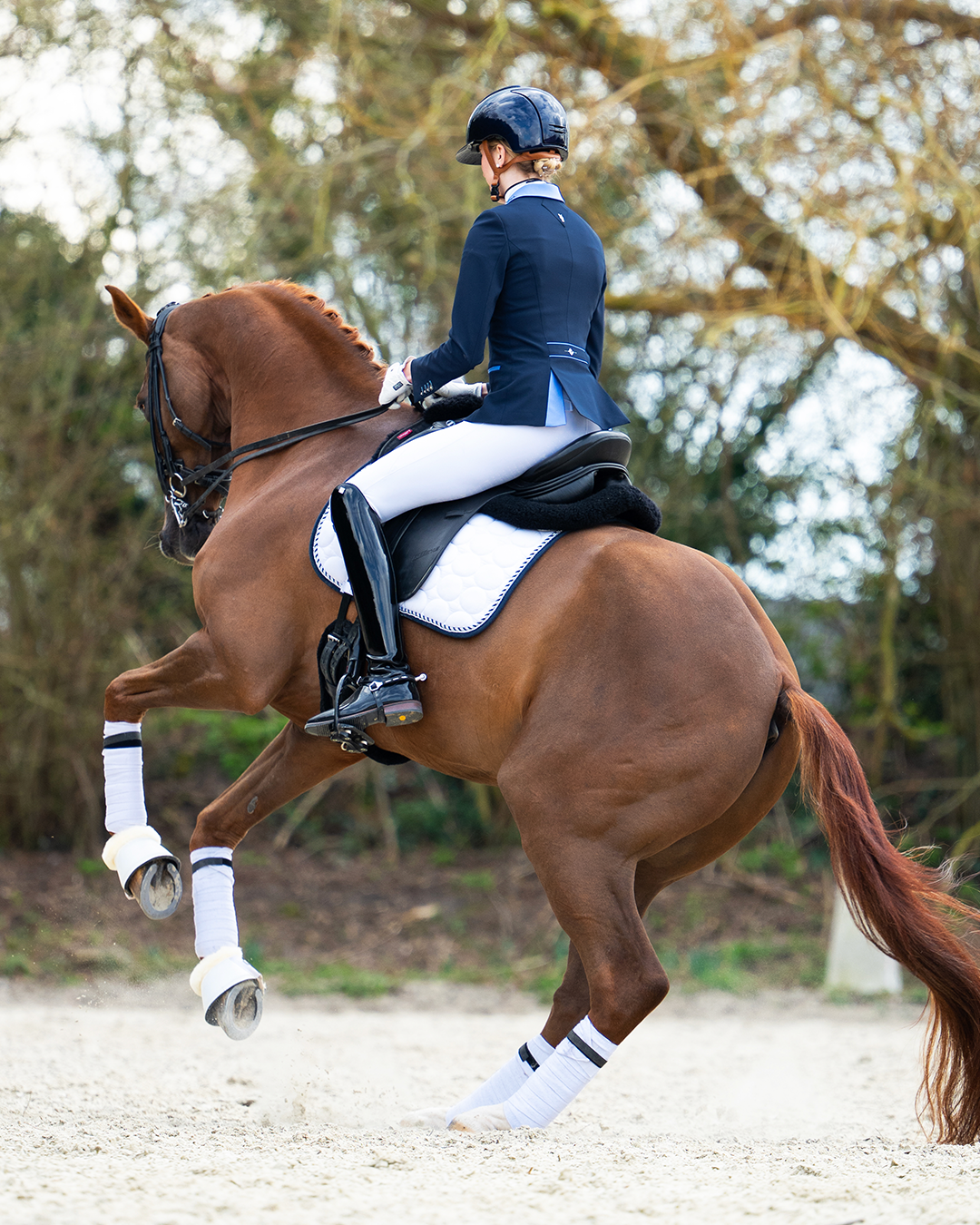 Competition Jacket - Navy Light Blue