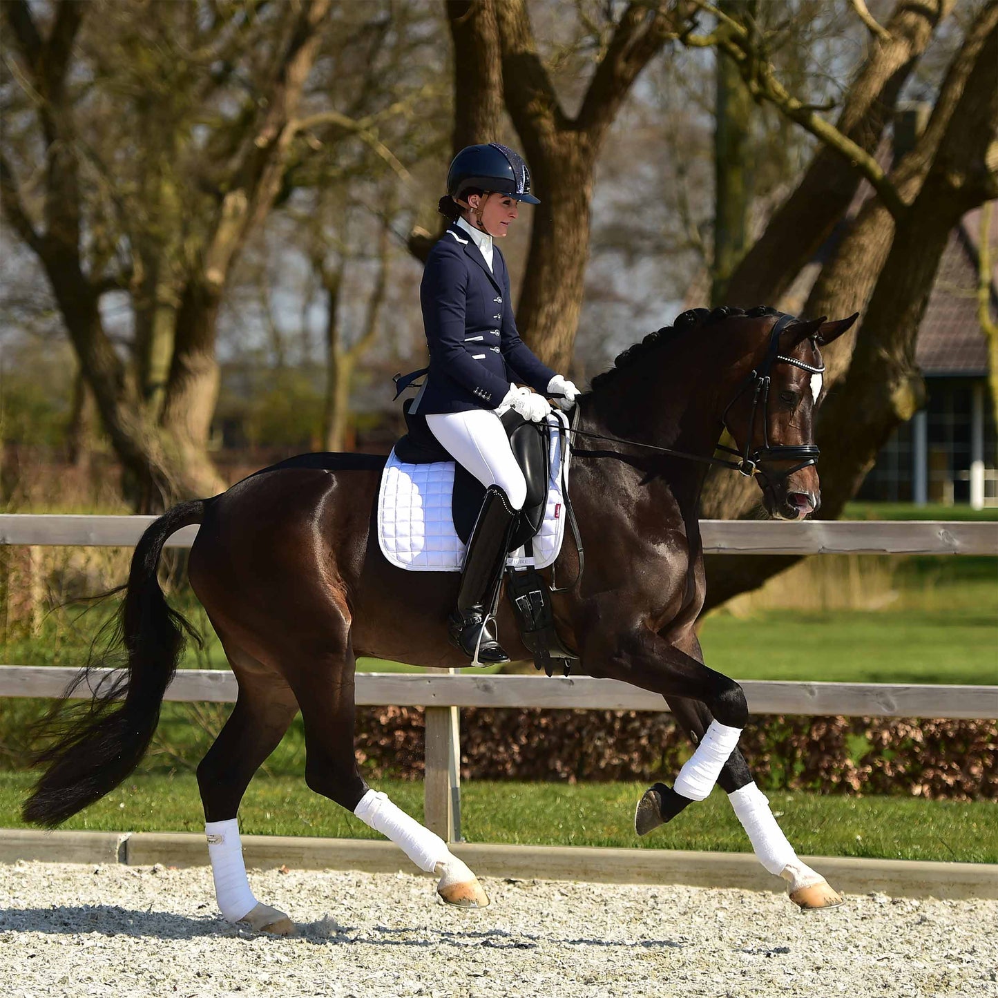 Competition Jacket - Navy with White Piping
