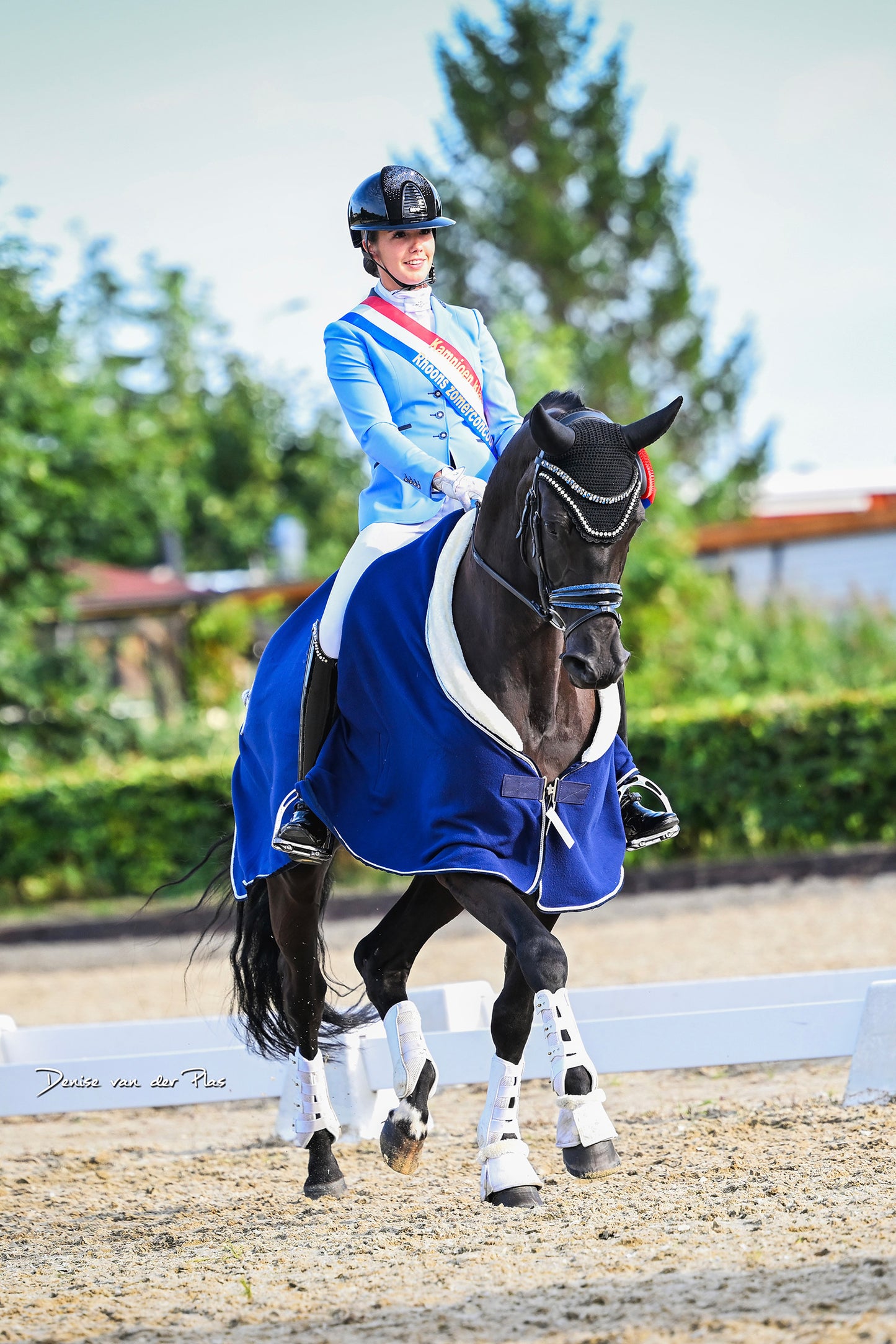 Competition jacket - Lavender Blue