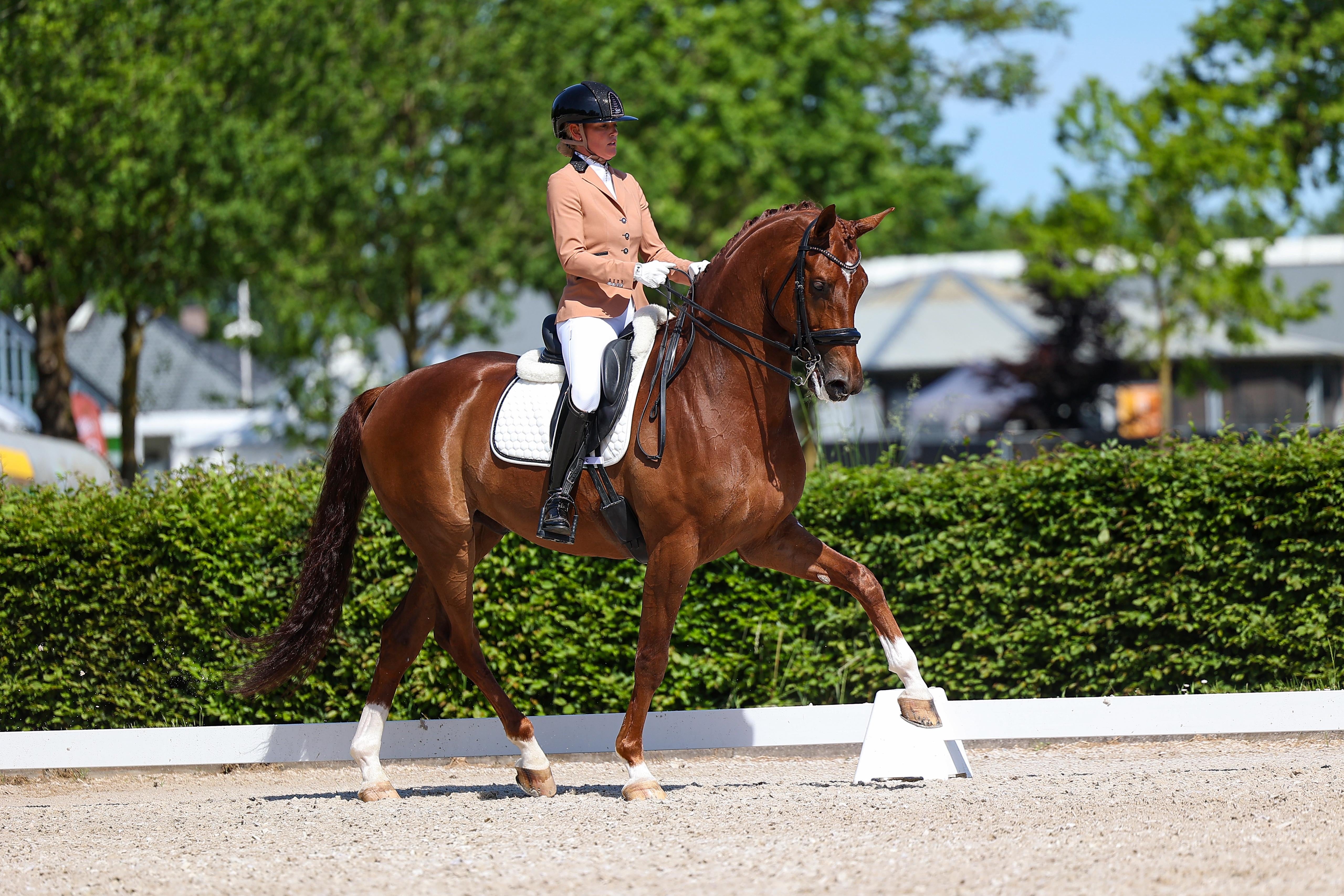 Show Jacket - Caramel – JuulC